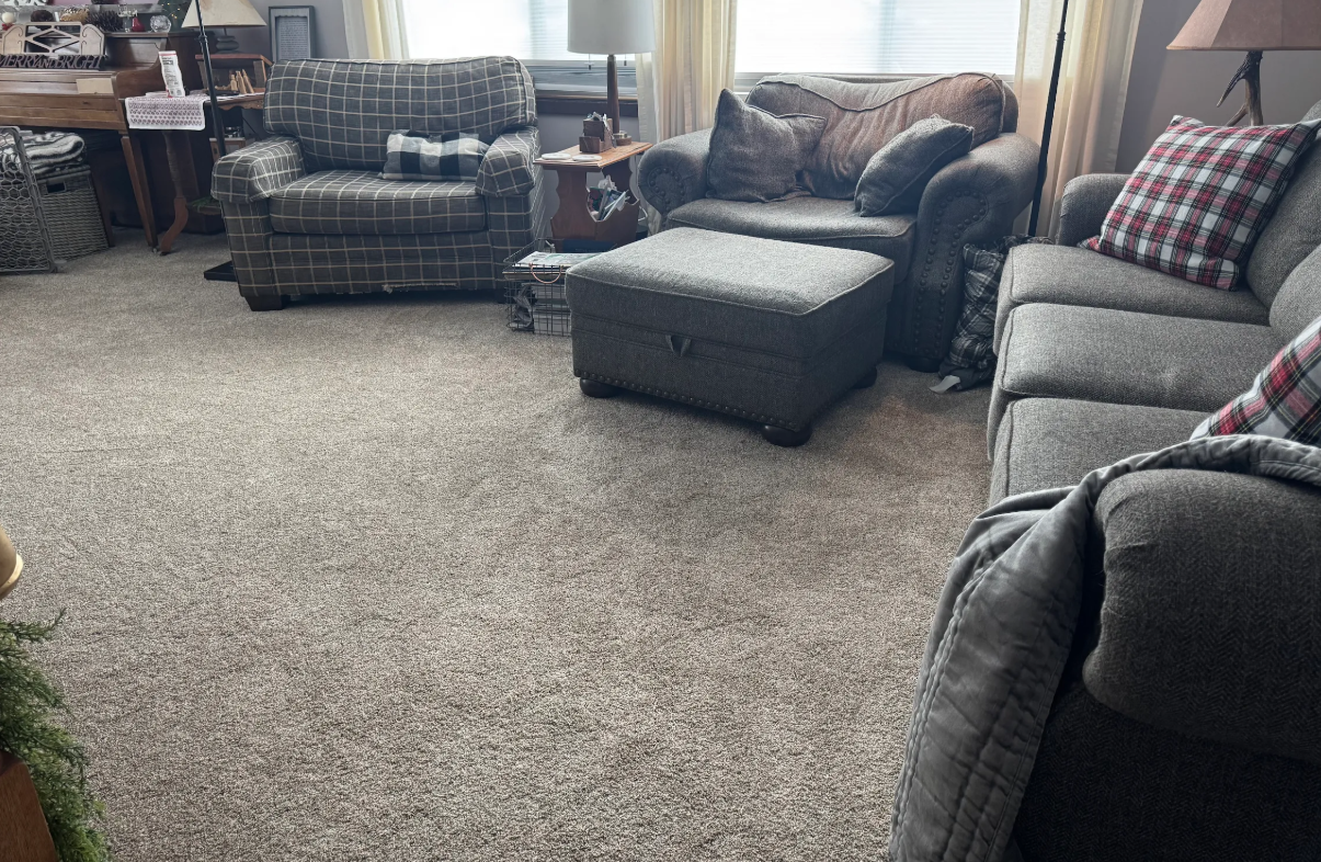 Carpet in cozy living room 